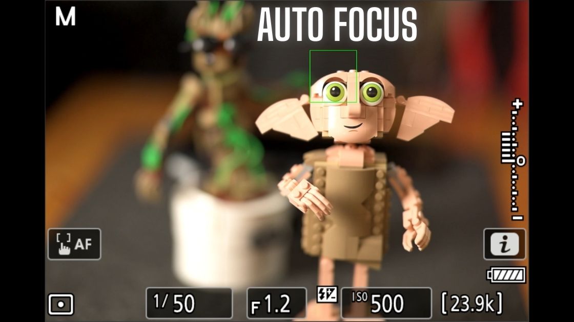 Nikon Z8 Autofocus explained