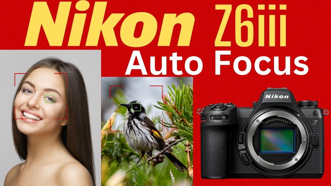 Nikon Z6iii auto focus Nikon Z6iii auto focus