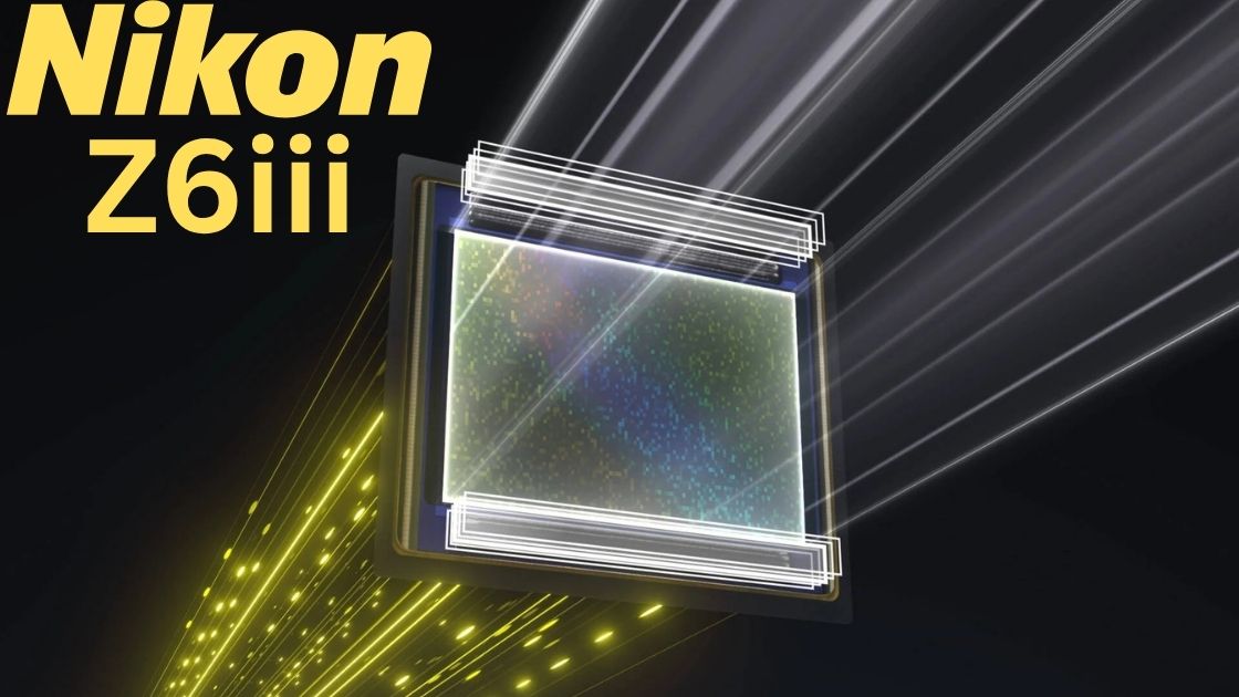 Nikon Z6iii sensor Nikon Z6iii sensor