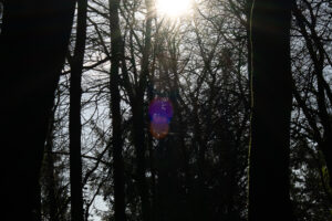 Viltrox 56mm F1.2 Pro Review flaring-1 Nikon Z mount Viltrox 56mm F1.2 Pro review and an example of slight flaring shot 4.