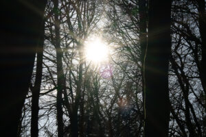 Viltrox 56mm F1.2 Pro Review flaring-4 Nikon Z mount Viltrox 56mm F1.2 Pro review and an example of slight flaring shot 1.