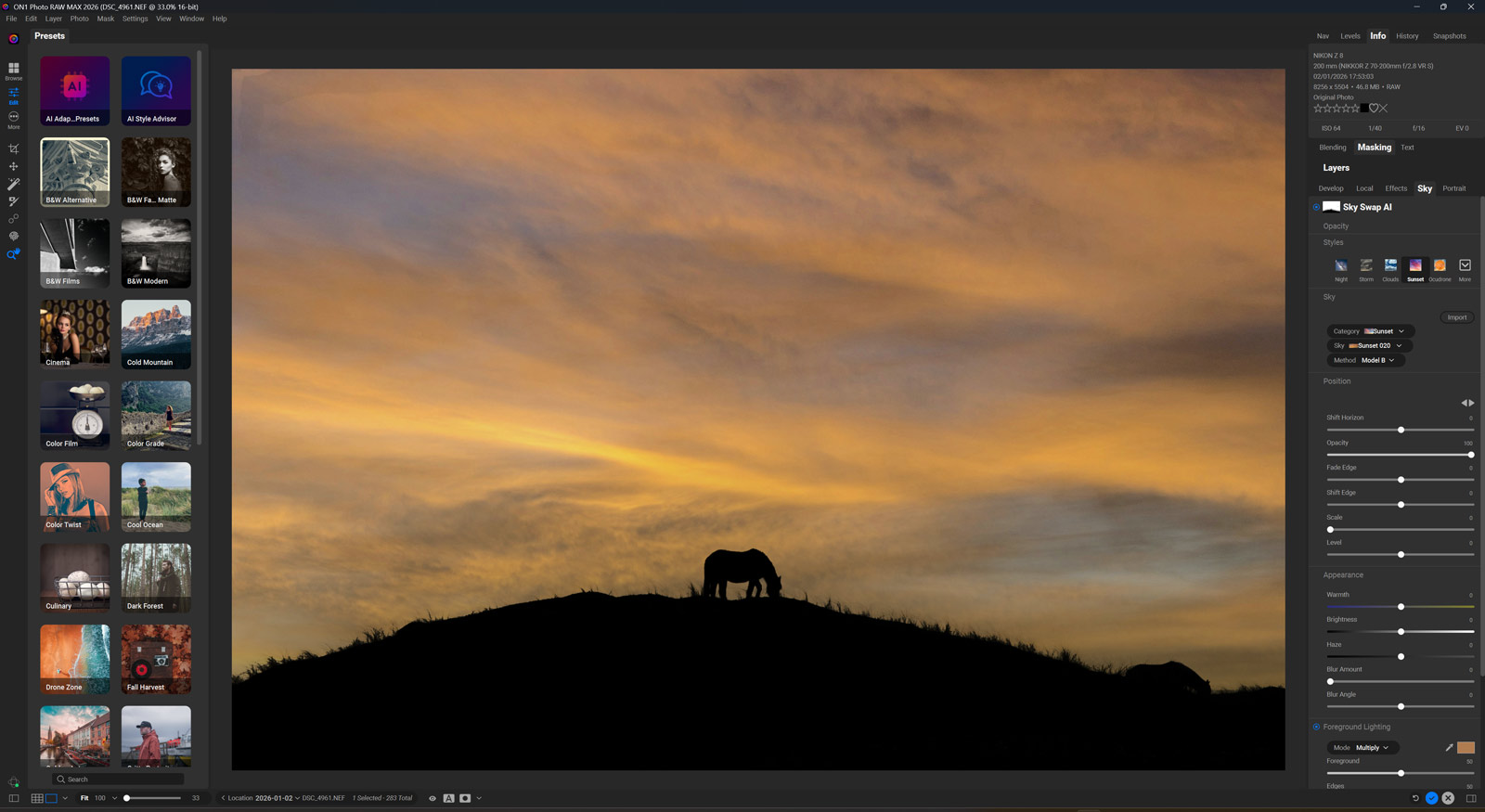 An Image ready for processsing for my ON1 Photo Raw 2026 Review